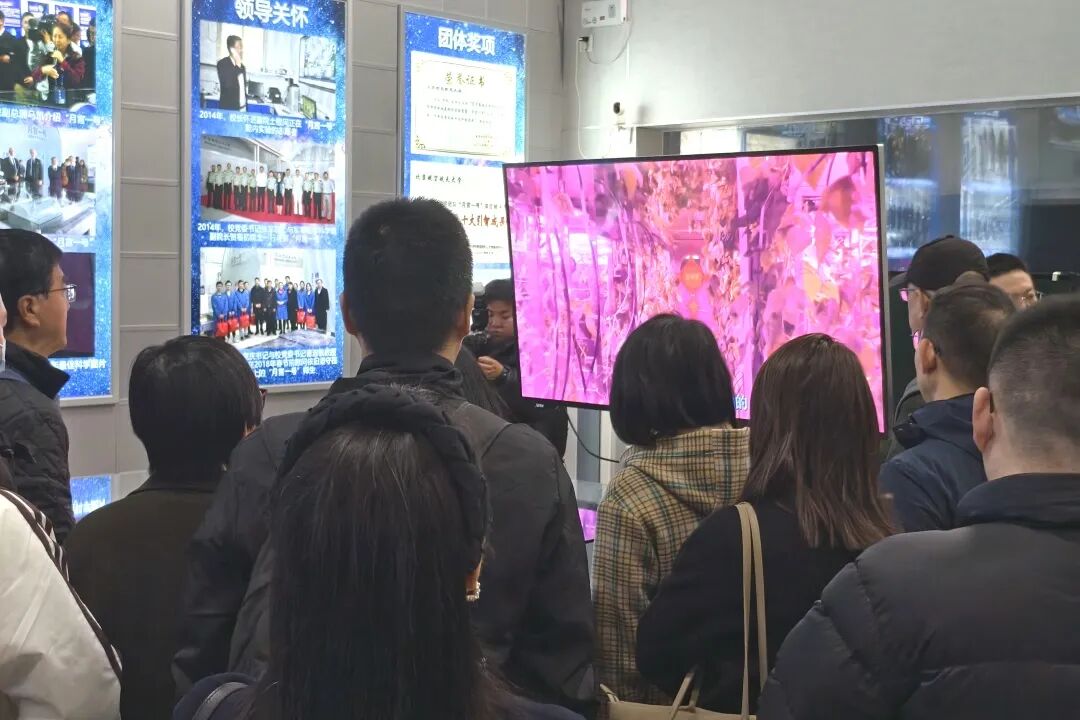 教材入编
