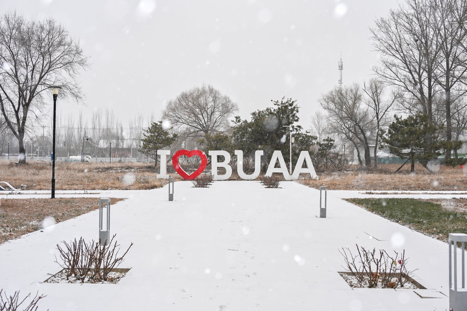 正是瑞雪兆丰年