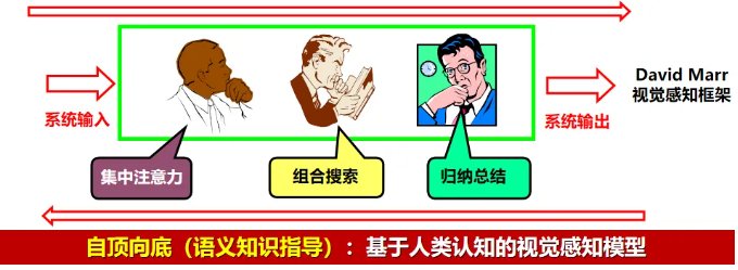 自2020年起连续4年入选爱思唯尔“
