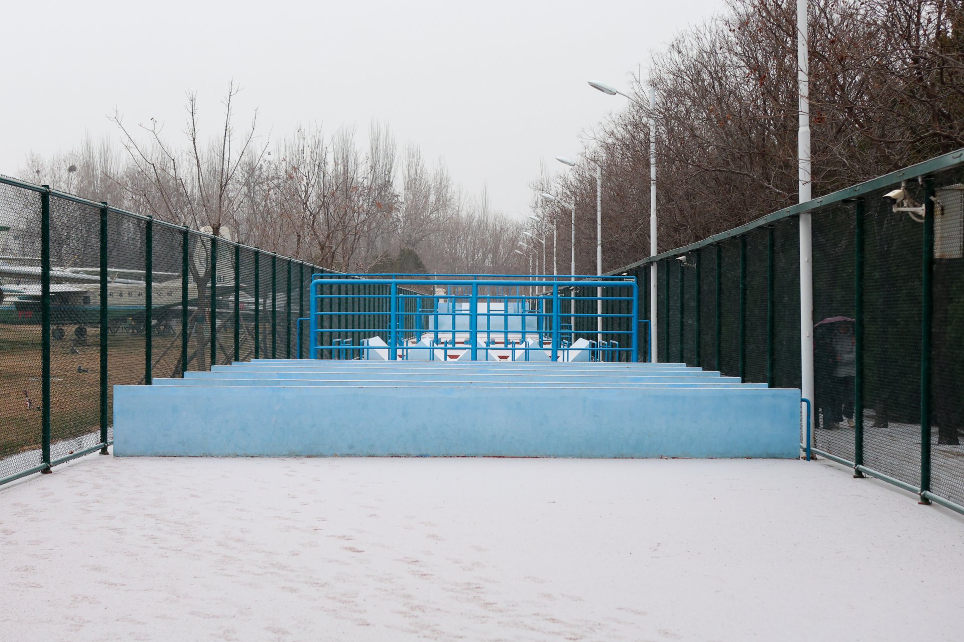 今冬的第一场雪落在星空web版登录入