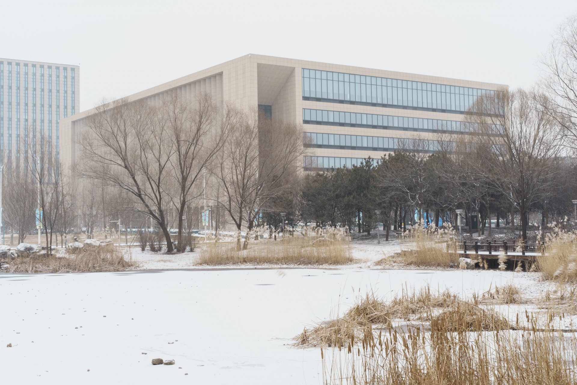 今冬的第一场雪落在星空web版登录入