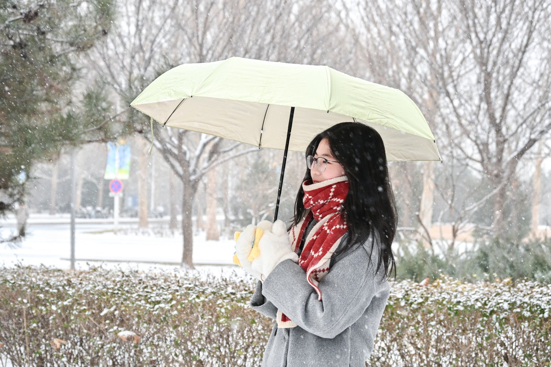 碎琼漫舞，初雪赴约