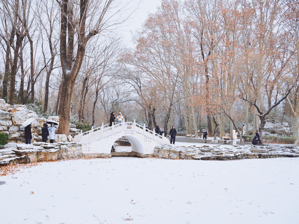 初雪赴约