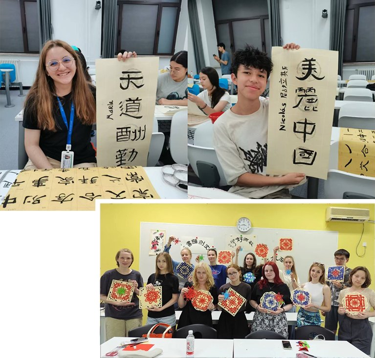 The Chinese Langua