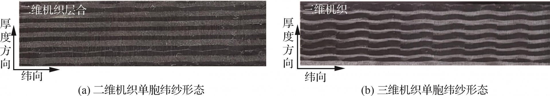 Yang SUN1