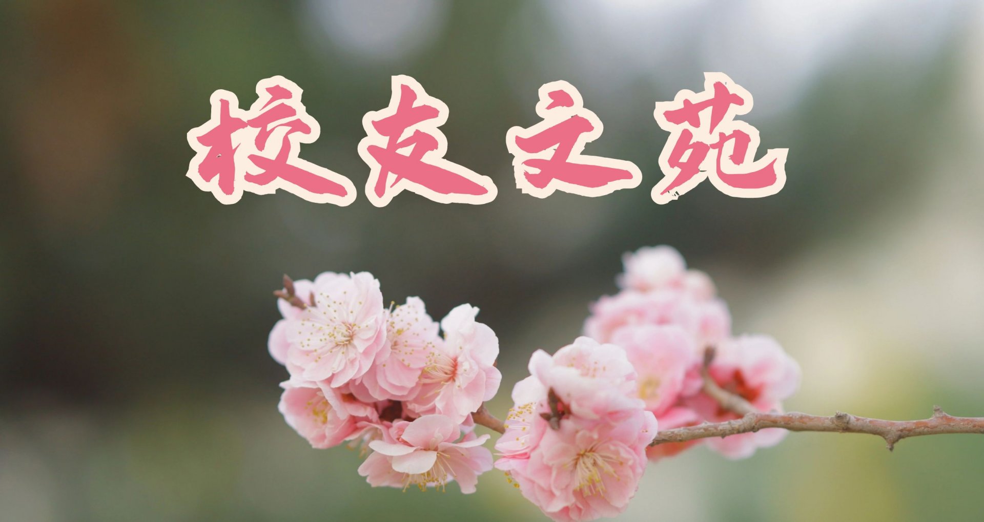 星空web版登录入口官方渠道副校长邓